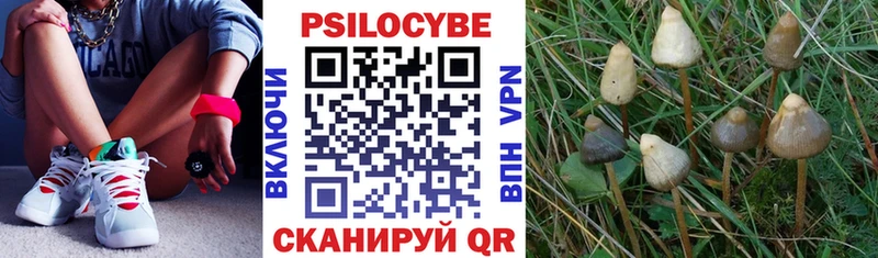 цены наркотик  Полевской  Псилоцибиновые грибы GOLDEN TEACHER 